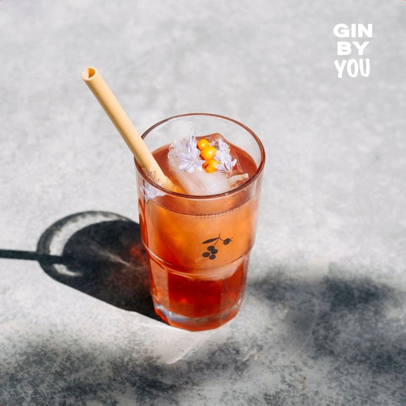 Homemade gin tonic – serve example made with GIN BY YOU botanicals